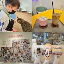 고양이라서 행복해 | 광명 아이랑 가볼만한곳 이색 카페 고양이라서 행복해 실내 데이트코스