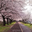 (주)서울산정비센터 이미지