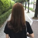 스튜디오차상 이미지