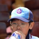 원주교동초등학교 이미지