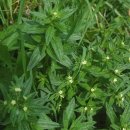 주치한의원 이미지