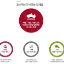 [코스맥스그룹 채용] 코스맥스그룹 채용 2016년 하반기 공개채용(9/27~10/10) 이미지