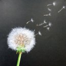 색연필일러스트 이미지