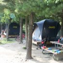 성동 서울숲 여름캠핑장 이미지