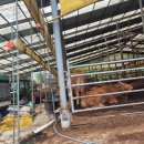 순라황토펜션 이미지