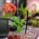 플렉스 PC cafe 네이버블로그