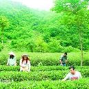 동광임업 - 홍성군 | 동광임업