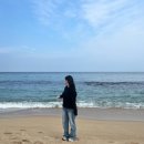 스테이 니와 이미지