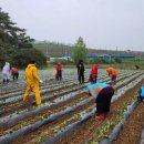 화산면 새 영천뉴스24
