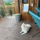 해원의 작은집 이미지