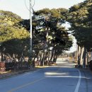 갑진년(甲辰年)을 보내며 ... 송년(送年) 걷기... 이미지