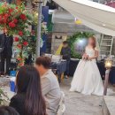 정담아김밥 | 대구답례도시락 하객도시락 성지 정담아김밥 리얼 후기