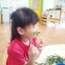 삼죽초교병설유치원 이미지