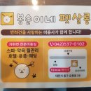 봉순이네 펫살롱 네이버블로그