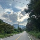 나무향가득펜션 이미지