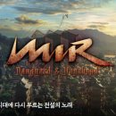 미르네트워크