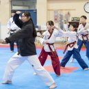 서린5태권도장 이미지