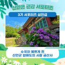 신안장수 | 💐수국이 예쁘게 핀 신안군 압해도 유일의 전통사찰 금산사