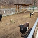 송산목장 이미지