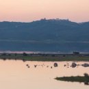 DK 태양광발전소 이미지