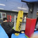 비노짐킥복싱 이미지