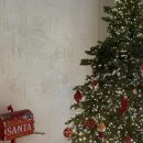 오캄 건대입구역 카페 디저트ㅣ카페 <b>오캄</b>