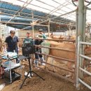 임실목장 이미지