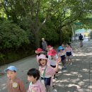 하늘바다🩵- 인천대공원 견학🚌 이미지
