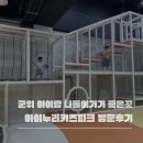 아이누리 | 군위 아이와 가볼만한곳 삼국유사 테마파크 아이누리키즈파크 후기｜돌아기부터 초등 저학년까지 만족