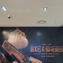 슈즈앤레이디