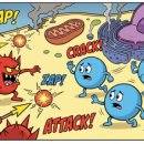 연이약국 이미지