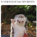 금석 - 중구 태평로 172-1 | 금석