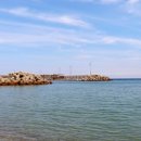 더 스트림 이미지