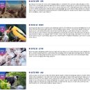 여진불교미술관 | [지명사전] 국토의 정중앙에서 한반도의 평화를 품다, 양구(楊口)의 유래와 역사