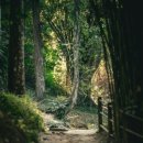 MG새마을금고 옆 이미지