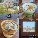 나나쿠키 | 강릉 카페 툇마루 재오픈 툇마루커피 나나말차 웨이팅 후기