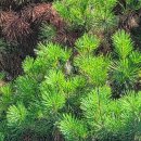 진소농장 이미지