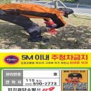 주정차32 이미지