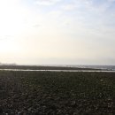 몽돌바당 이미지