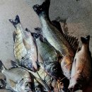 비토섬마린블루펜션 이미지