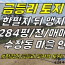 토지2-162[ 한경면 금등리 수장동 마을 안 한필지 뒤 맹지 토지 매매(284평/투자용/5천만원 토지!) ]#수장동토지, 금등리토지, 이미지