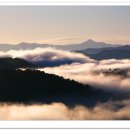 꿈속에서 이미지