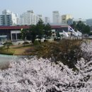 선정3리 연합뉴스