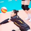 일신여자상업고등학교 이미지