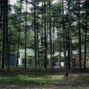 개in공간 이미지