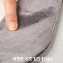 겨울 필수템! 플로쥬 소가죽 셔링 앵클부츠 솔직 후기