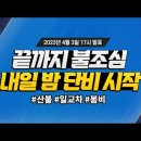 내일은 단비