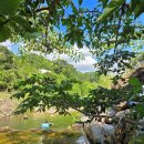 구천동주유소 | 별의바다 조동캠핑장, 조용한 힐링 캠핑 후기