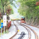 섬진강출렁다리펜션 이미지