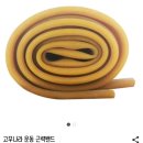 운동용 고무밴드로 하는 운동 잘 정리된 곳 있을까요? 이미지